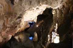 IMG_7010