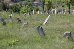 IMG_7061