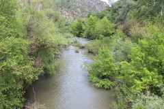 IMG_7073