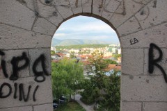 IMG_7116