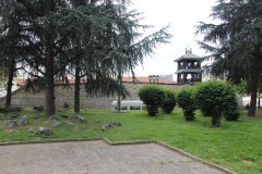 IMG_7175