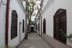 IMG_7179