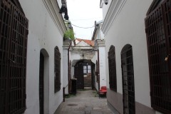 IMG_7181