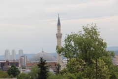 IMG_7194
