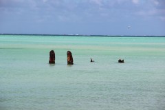 IMG_0633
