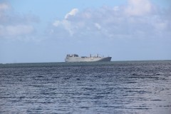 IMG_0646