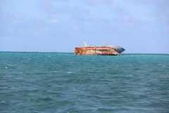 IMG_0651