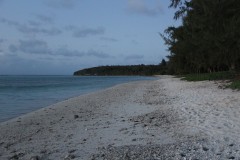 IMG_0685