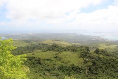 IMG_0732