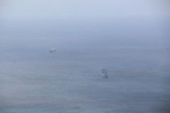 IMG_0741