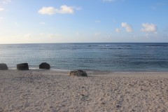IMG_0759