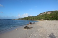 IMG_0761