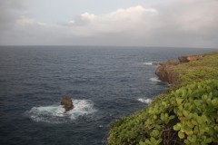IMG_0788