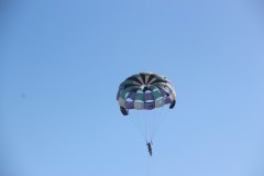 IMG_0801