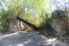 IMG_0808