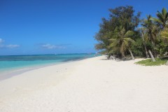 IMG_0819