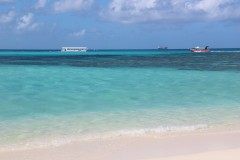 IMG_0820
