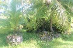IMG_0867