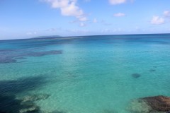 IMG_0874