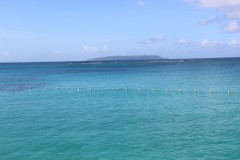 IMG_0881