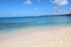 IMG_0887