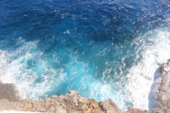 IMG_0904