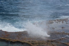 IMG_0929
