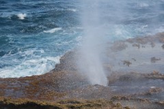 IMG_0931