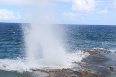 IMG_0935