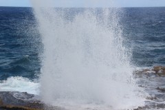 IMG_0936