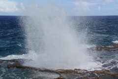 IMG_0937