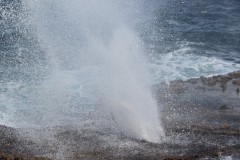 IMG_0939