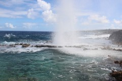 IMG_0941