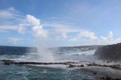IMG_0946