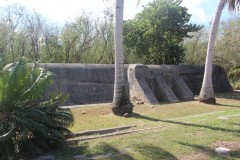 IMG_0954