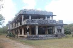 IMG_0956