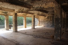 IMG_0959