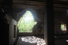 IMG_0964