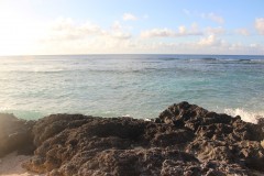 IMG_0998