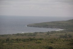 IMG_1003