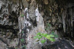 IMG_1042
