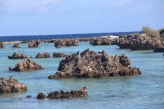 IMG_1058