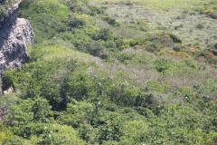 IMG_1087