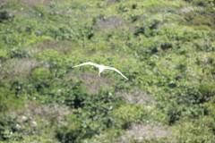 IMG_1089