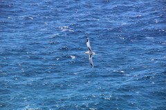 IMG_1091