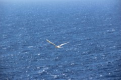 IMG_1094