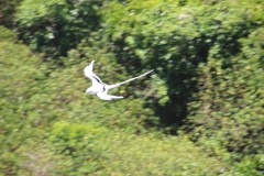 IMG_1099