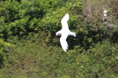 IMG_1100