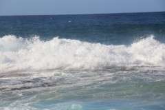 IMG_1119