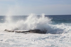 IMG_1123